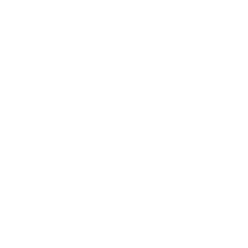 vasi
